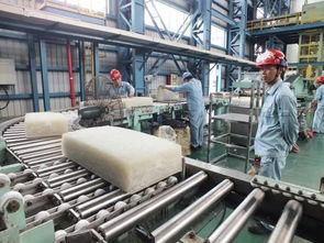 飛一般的感覺,你難道不想來試試嗎