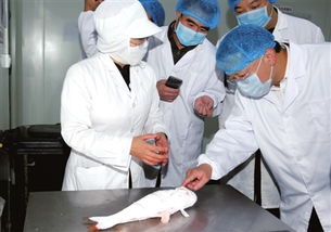 聚焦接待業(yè)務(wù) 從幕后到臺(tái)前的專(zhuān)業(yè)服務(wù)